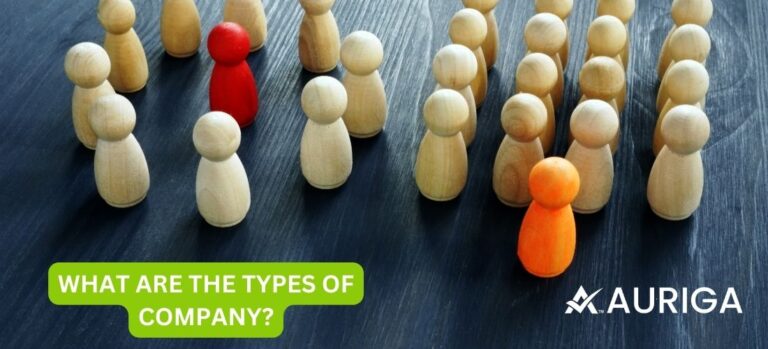 WHAT ARE THE TYPES OF COMPANY