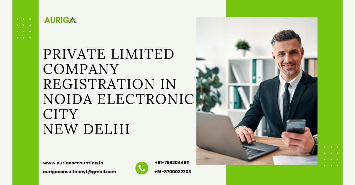 Private Limited Company Registration In Noida Electronic City
