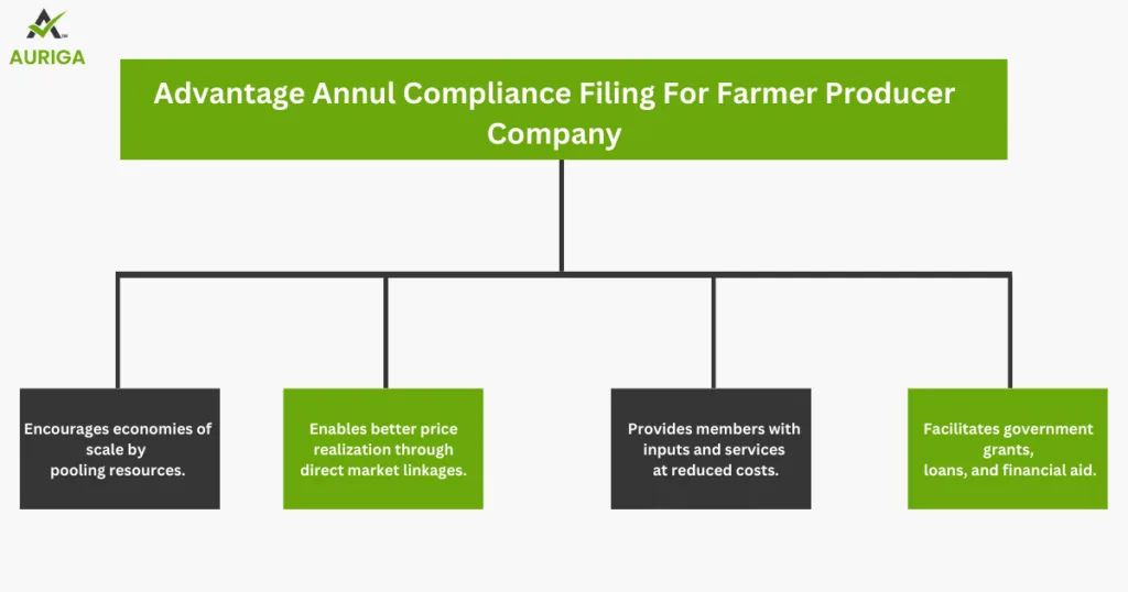 AURIGA ACCOUNTING PRIVATE LIMITED Farmer Producer