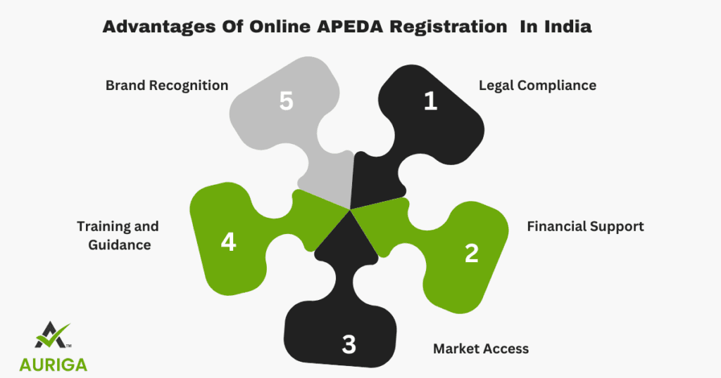 APEDA registration 3 AURIGA ACCOUNTING PRIVATE LIMITED AURIGA ACCOUNTING PRIVATE LIMITED advantage apeda 2