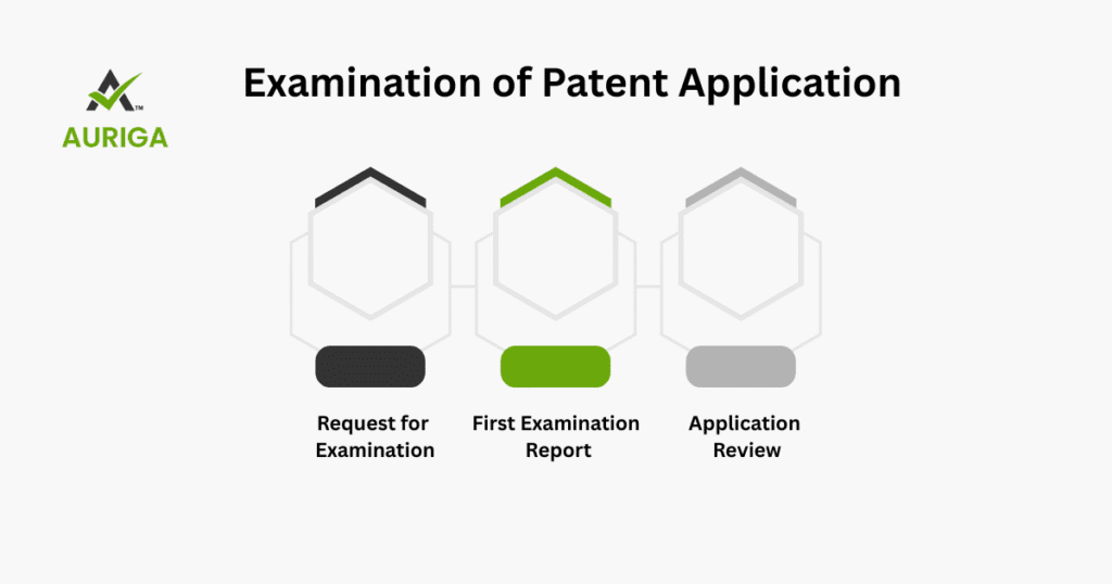 AURIGA ACCOUNTING PRIVATE LIMITED Examination