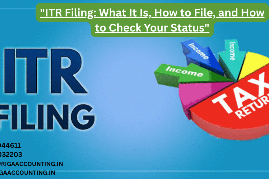 AURIGA ACCOUNTING PRIVATE LIMITED ITR Filing What It Is How to File and How to Check Your Status