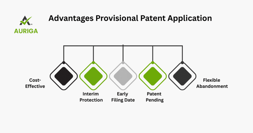 AURIGA ACCOUNTING PRIVATE LIMITED advantage provisional