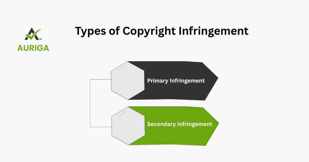 AURIGA ACCOUNTING PRIVATE LIMITED types