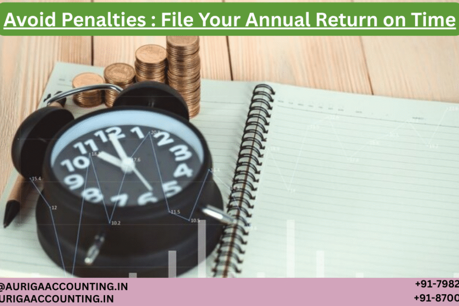 AURIGA ACCOUNTING PRIVATE LIMITED Avoid Penalties File Your Annual Return on Time