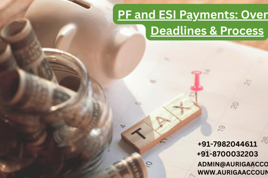 AURIGA ACCOUNTING PRIVATE LIMITED PF and ESI Payments Overview Deadlines Process