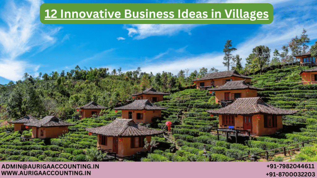 12 Innovative Business Ideas in Villages 1 AURIGA ACCOUNTING PRIVATE LIMITED AURIGA ACCOUNTING PRIVATE LIMITED 12 Innovative Business Ideas in Villages