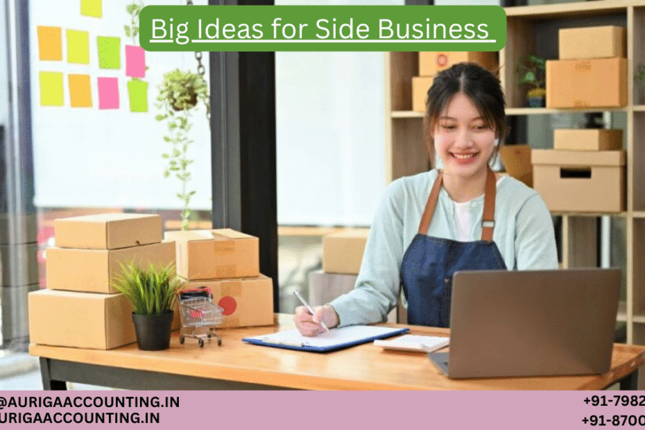 AURIGA ACCOUNTING PRIVATE LIMITED Big Ideas for Side Business