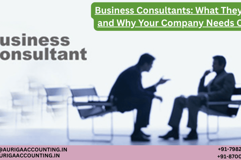 AURIGA ACCOUNTING PRIVATE LIMITED Business Consultants What They Do and Why Your Company Needs One