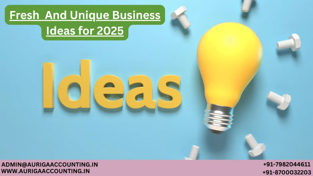 AURIGA ACCOUNTING PRIVATE LIMITED Fresh And Unique Business Ideas for 2025