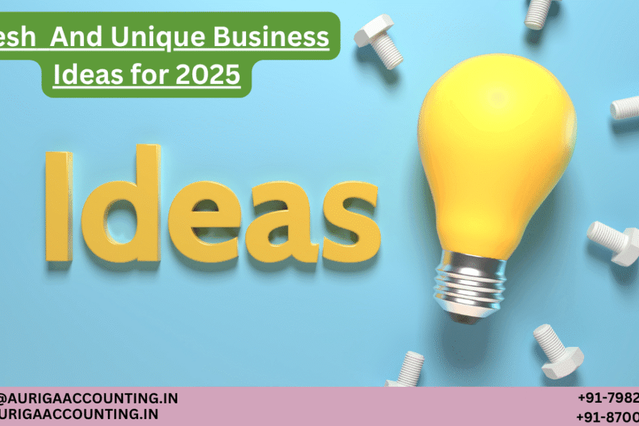 AURIGA ACCOUNTING PRIVATE LIMITED Fresh And Unique Business Ideas for 2025