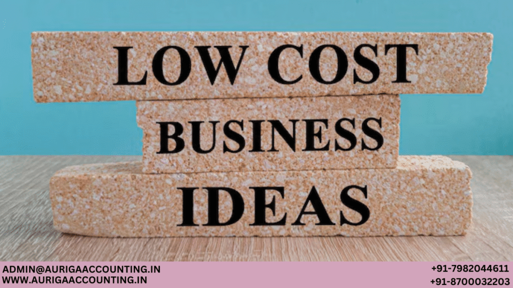 Low-Cost Business Ideas 1 AURIGA ACCOUNTING PRIVATE LIMITED AURIGA ACCOUNTING PRIVATE LIMITED Low Cost Business Ideas