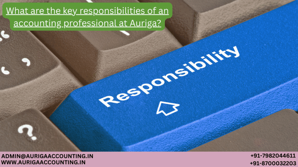 What are the key responsibilities of an accounting professional at Auriga? 1 AURIGA ACCOUNTING PRIVATE LIMITED AURIGA ACCOUNTING PRIVATE LIMITED What are the key responsibilities of an accounting professional at Auriga