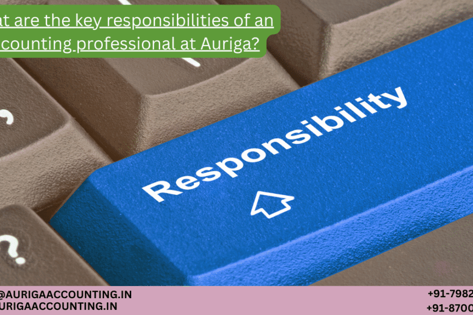 AURIGA ACCOUNTING PRIVATE LIMITED What are the key responsibilities of an accounting professional at Auriga
