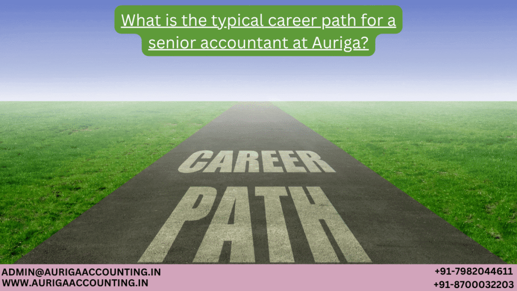 What is the typical career path for a senior accountant at Auriga? 1 AURIGA ACCOUNTING PRIVATE LIMITED AURIGA ACCOUNTING PRIVATE LIMITED What is the typical career path for a senior accountant at Auriga