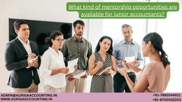 What kind of mentorship opportunities are available for junior accountants