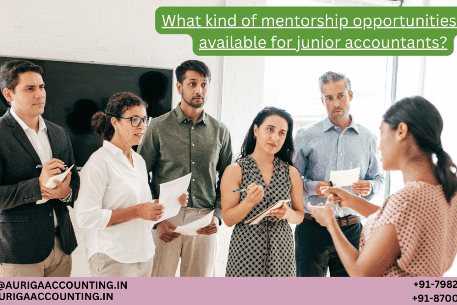 AURIGA ACCOUNTING PRIVATE LIMITED What kind of mentorship opportunities are available for junior accountants