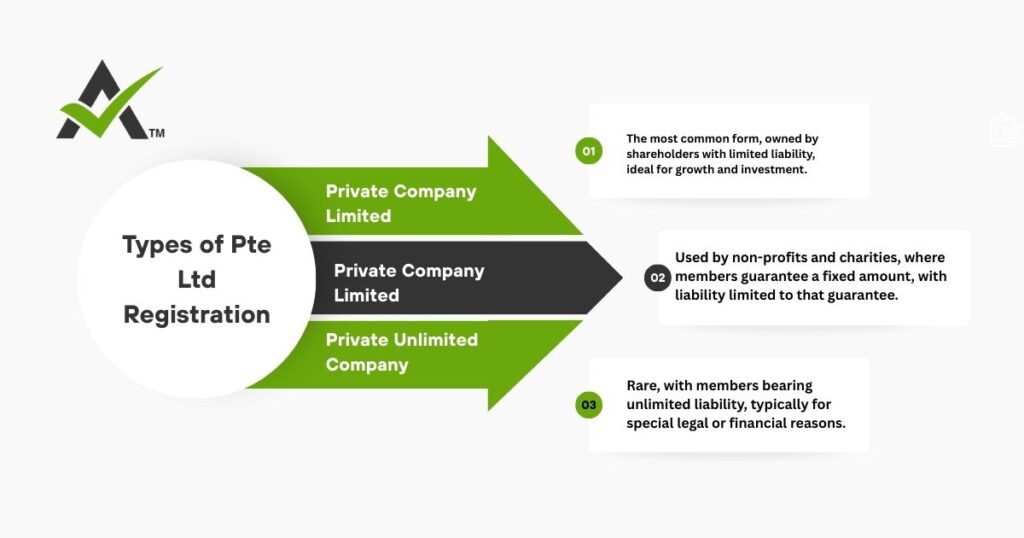 AURIGA ACCOUNTING PRIVATE LIMITED Types pte