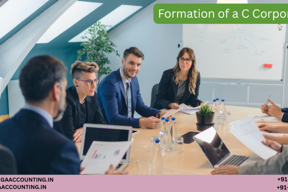 Formation of a C Corporation 78 AURIGA ACCOUNTING PRIVATE LIMITED AURIGA ACCOUNTING PRIVATE LIMITED Untitled 1200 x 630 px 29