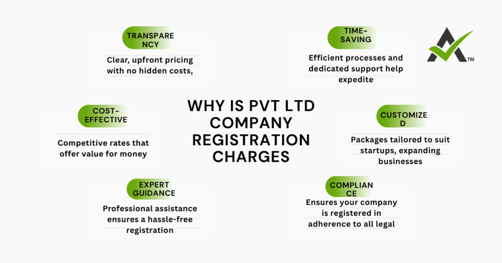 AURIGA ACCOUNTING PRIVATE LIMITED why charges