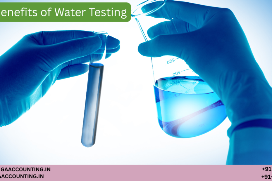 AURIGA ACCOUNTING PRIVATE LIMITED Untitled 1200 x 630 px 55