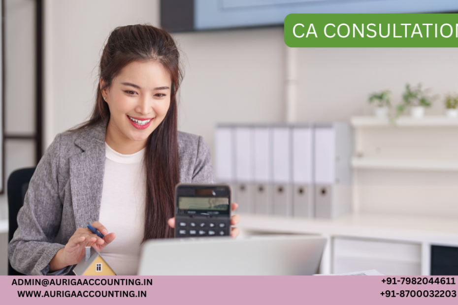 AURIGA ACCOUNTING PRIVATE LIMITED what is minute book