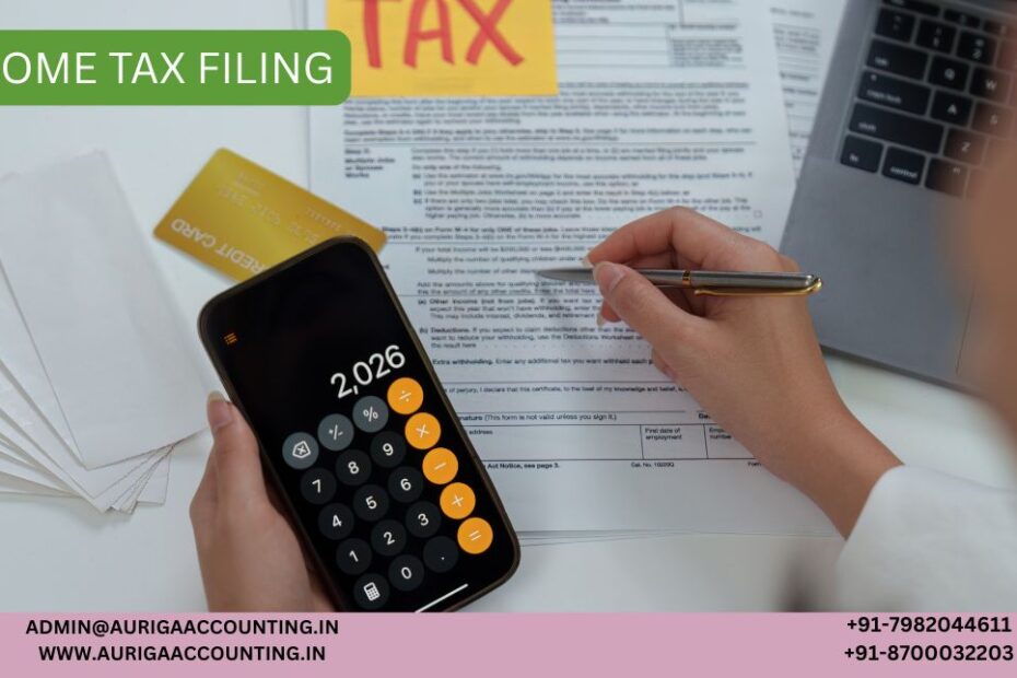 AURIGA ACCOUNTING PRIVATE LIMITED what is minute book 2026 05 09T161355.288