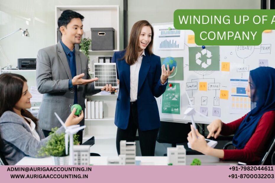 AURIGA ACCOUNTING PRIVATE LIMITED what is minute book 2026 05 09T163228.208