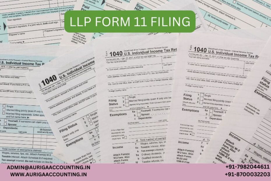 AURIGA ACCOUNTING PRIVATE LIMITED what is minute book 2026 05 13T143133.336